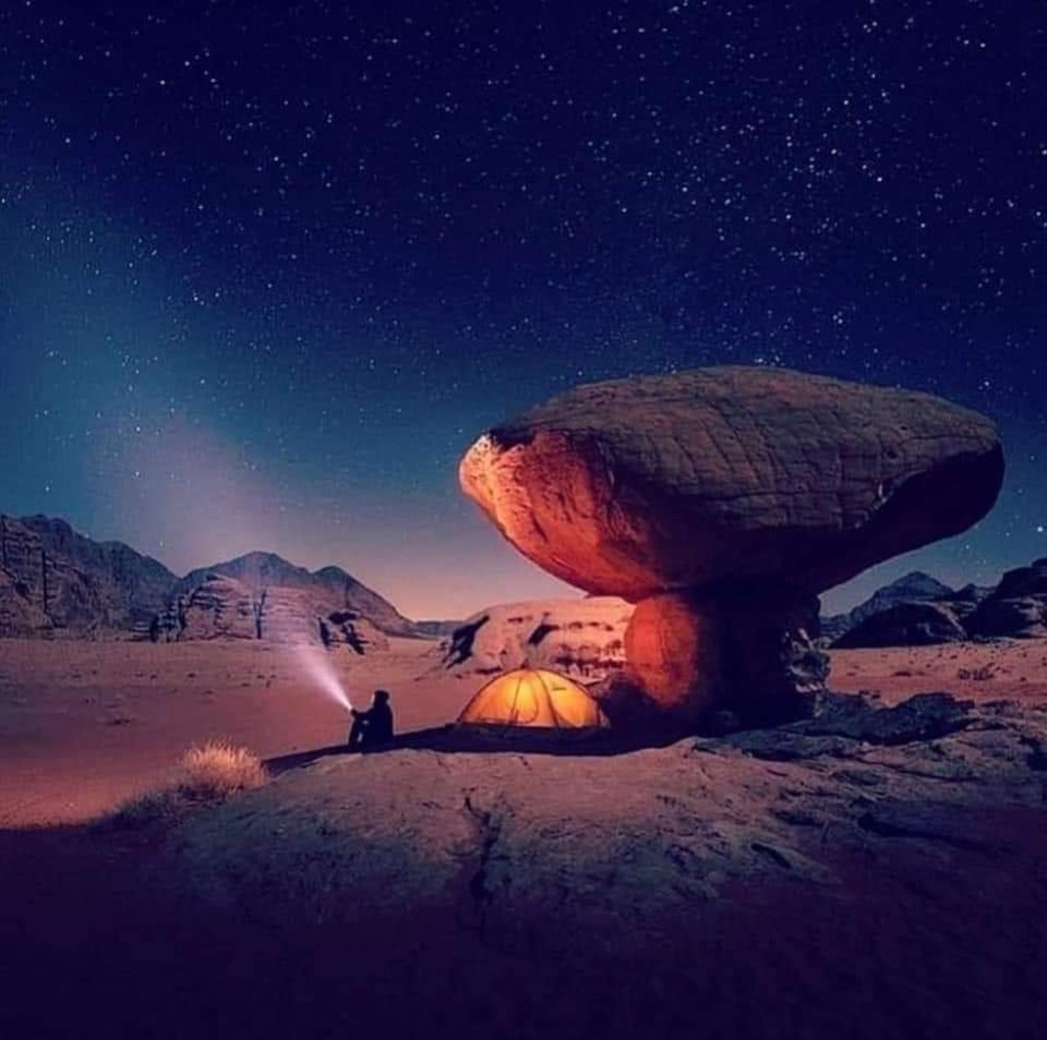 Campsite Shaheen Camp Wadi Rum Wadi Rum