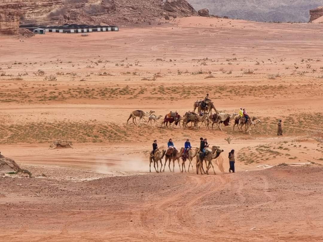 Campsite Shaheen Camp Wadi Rum 5*