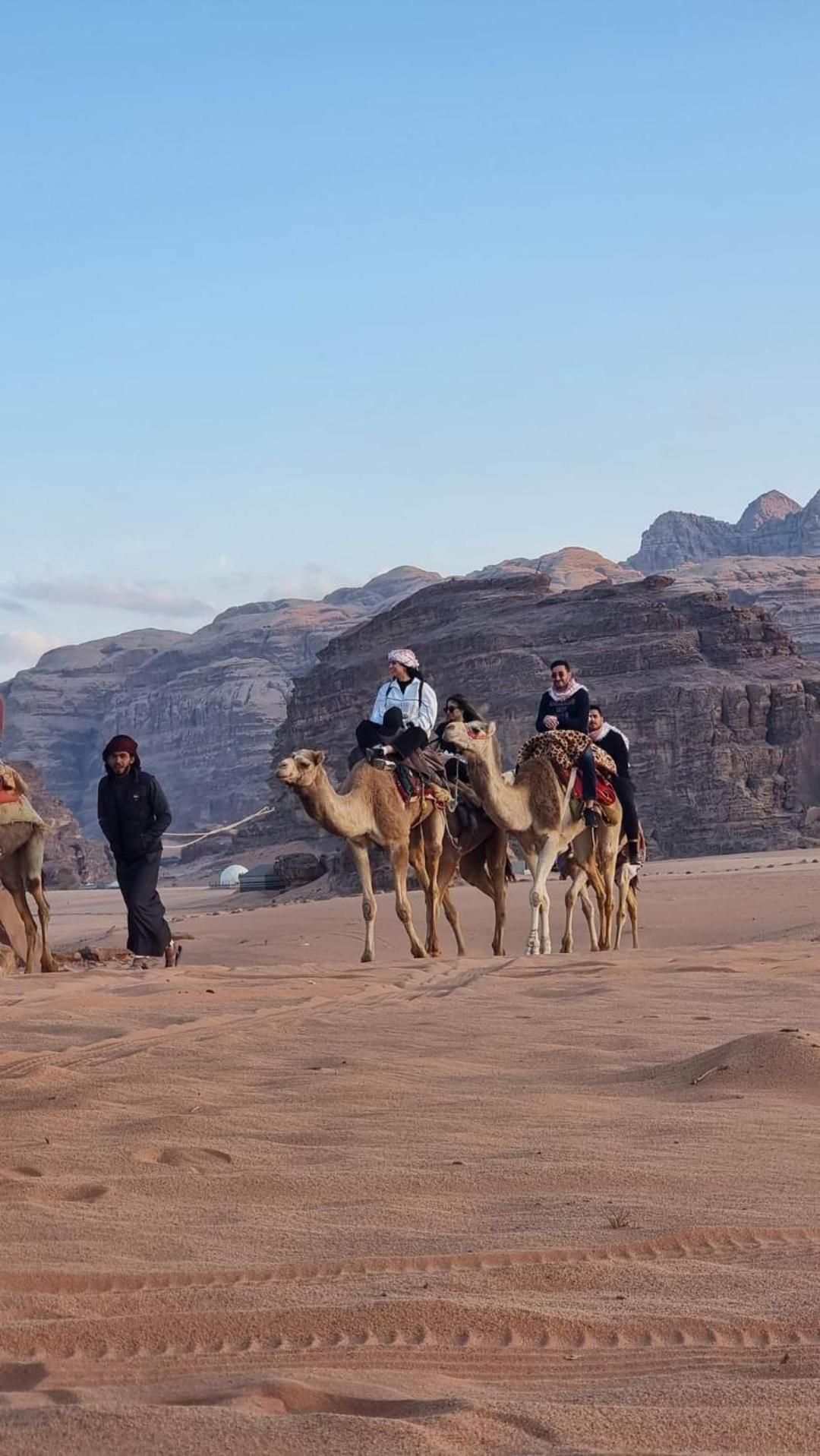 Campsite Shaheen Camp Wadi Rum Wadi Rum