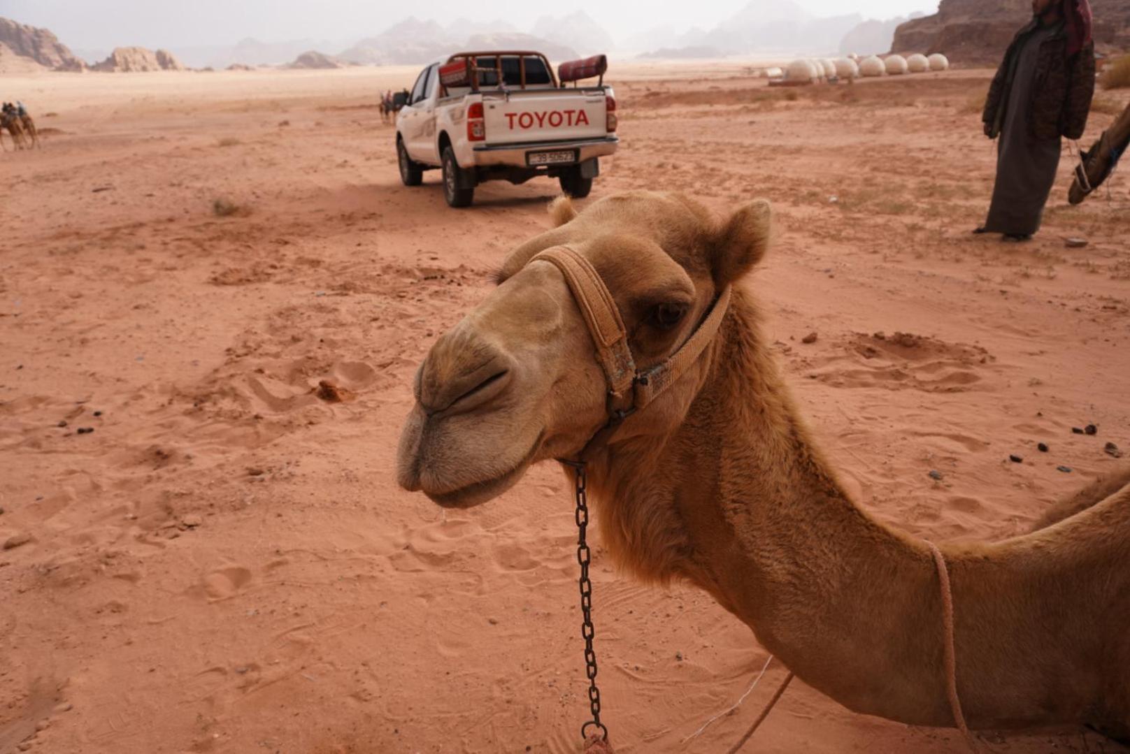 Shaheen Camp Wadi 5* Wadi Rum