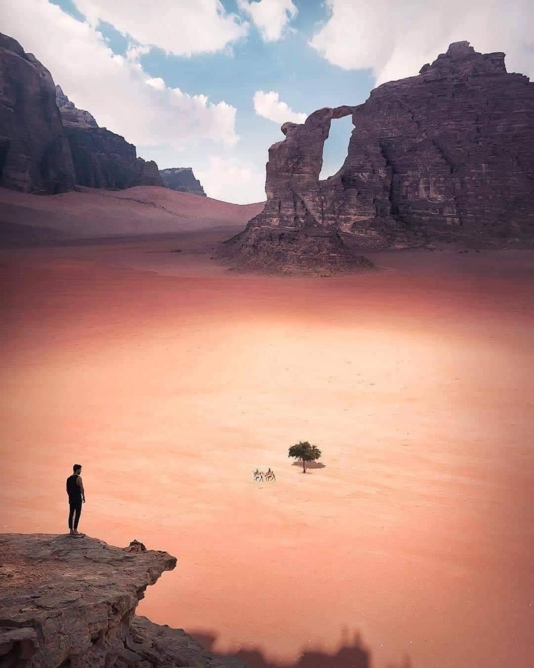 Shaheen Camp Wadi Parque de Campismo Wadi Rum